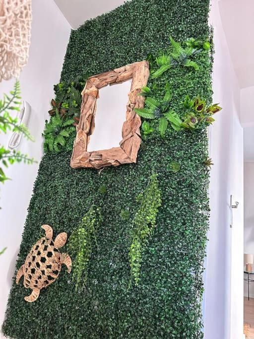 Le Noumea, T2, Hyper-Centre, Square De La Paix Apartment มากง ภายนอก รูปภาพ